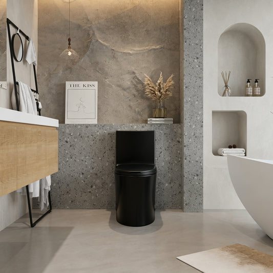 One-Piece Toilet, Dual Flush 1.1/1.6 GPF, Matte Black T02-MB