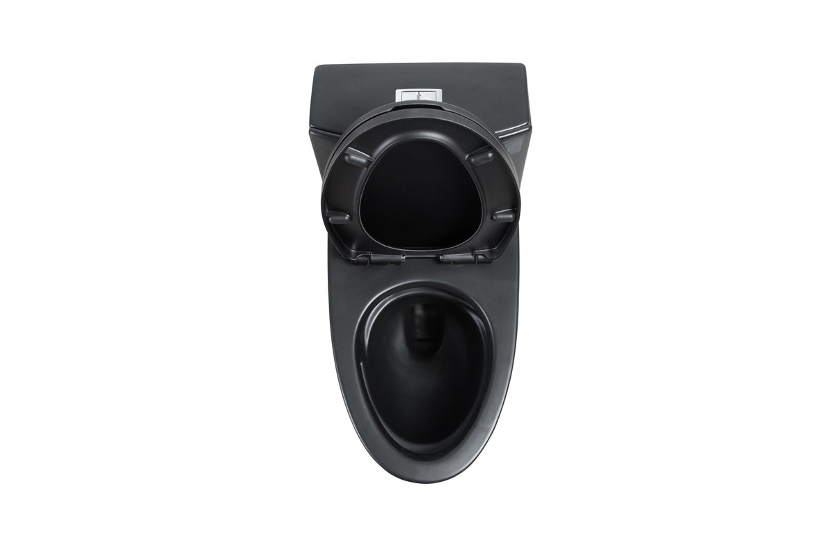 One-Piece Toilet, Dual Flush 1.1/1.6 GPF, Matte Black T02-MB