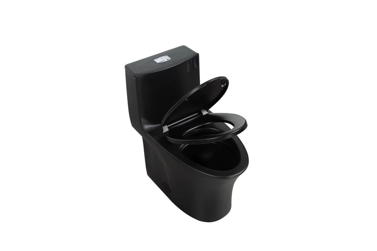 One-Piece Toilet, Dual Flush 1.1/1.6 GPF, Matte Black T02-MB