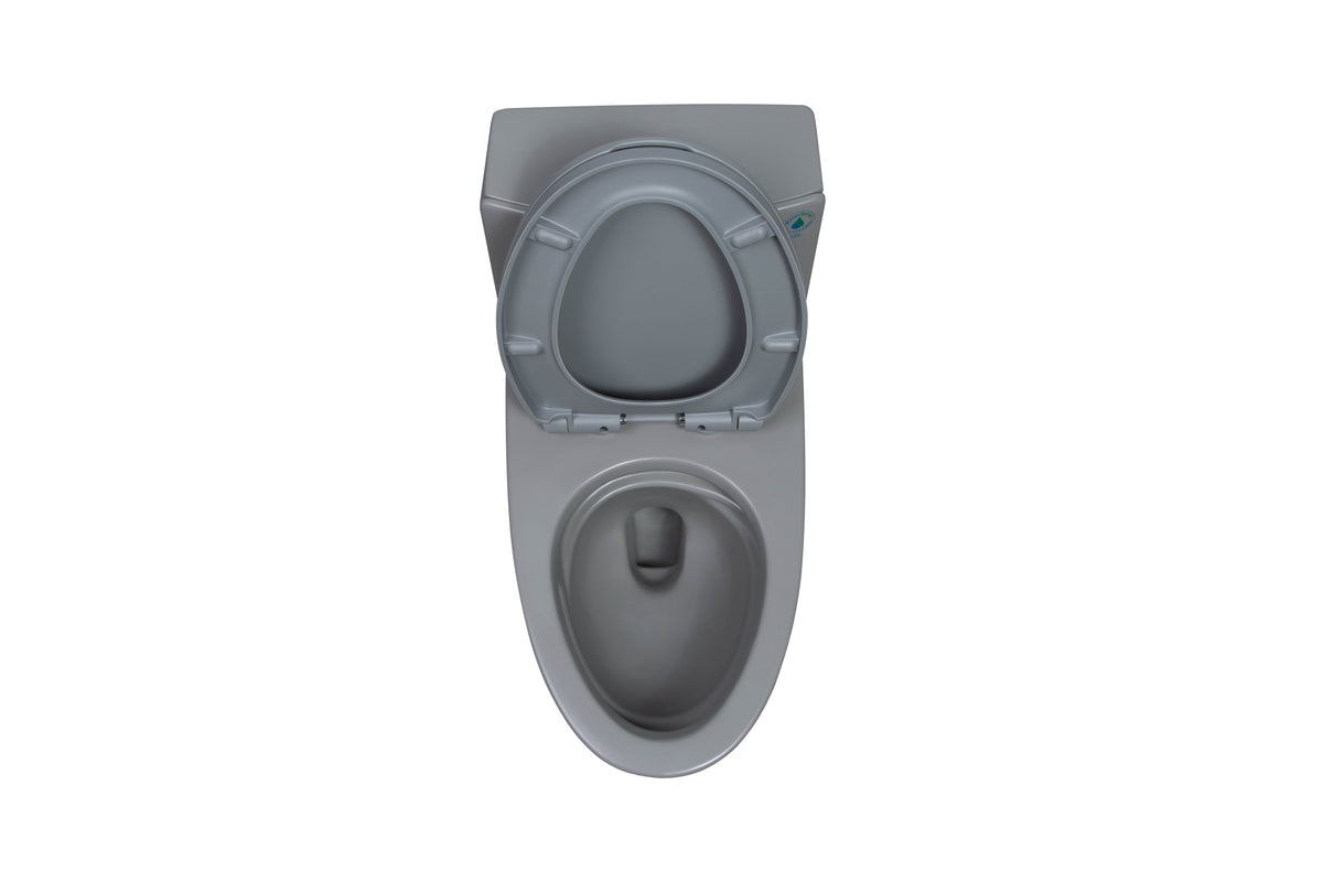 One-Piece Toilet, Dual Flush 1.1/1.6 GPF, Light Grey T02-LG