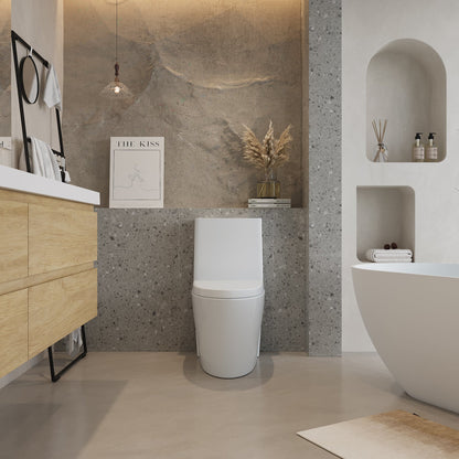 One-Piece Toilet, Dual Flush 1.1/1.6 GPF, Glossy White T01-GW