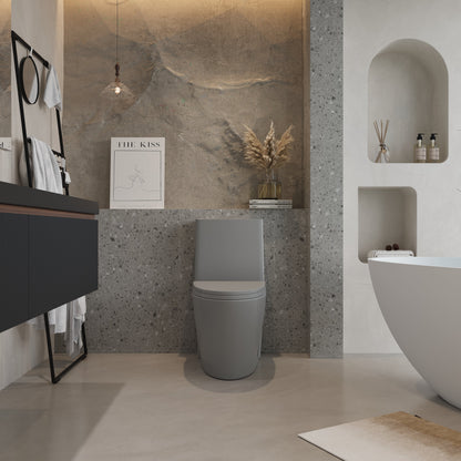 One-Piece Toilet, Dual Flush 1.1/1.6 GPF, Light  Grey T01-LG