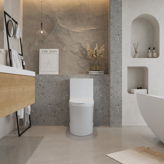 One-Piece Toilet, Dual Flush 1.1/1.6 GPF, Glossy White T02-GW