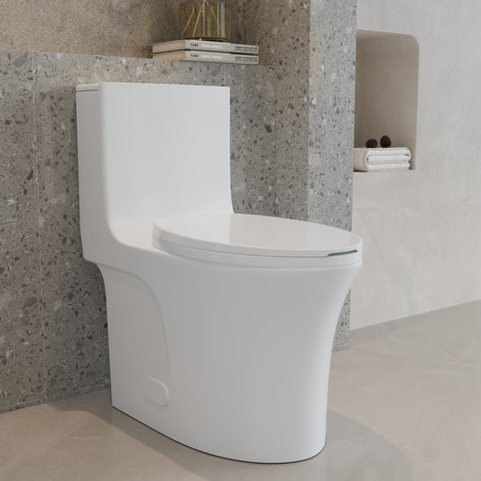 One-Piece Toilet, Dual Flush 1.1/1.6 GPF, Glossy White T02-GW