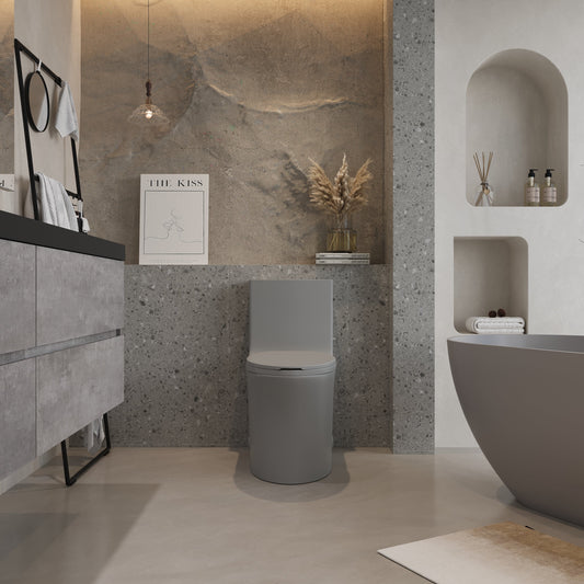 One-Piece Toilet, Dual Flush 1.1/1.6 GPF, Light Grey T02-LG