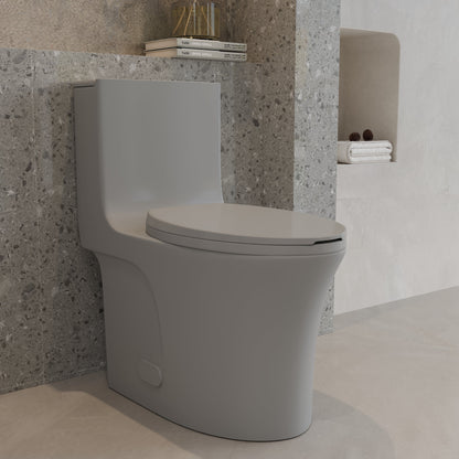 One-Piece Toilet, Dual Flush 1.1/1.6 GPF, Light Grey T02-LG