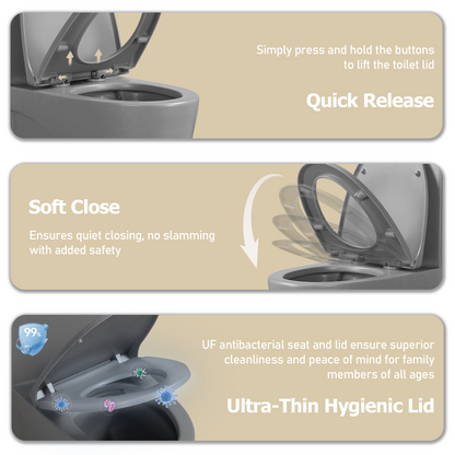 One-Piece Toilet, Dual Flush 1.1/1.6 GPF, Light  Grey T01-LG