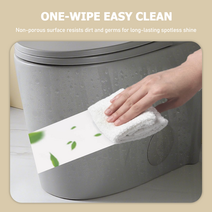 One-Piece Toilet, Dual Flush 1.1/1.6 GPF, Light  Grey T01-LG