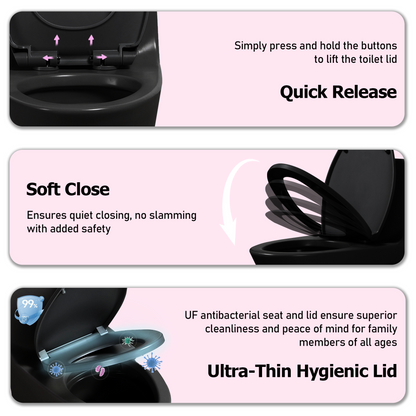 One-Piece Toilet, Dual Flush 1.1/1.6 GPF, Matte Black T02-MB
