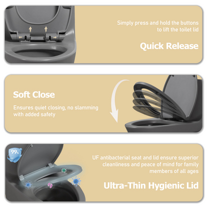 One-Piece Toilet, Dual Flush 1.1/1.6 GPF, Light Grey T02-LG