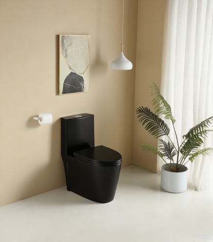 One-Piece Toilet, Dual Flush 1.1/1.6 GPF, Matte Black  T01-MB