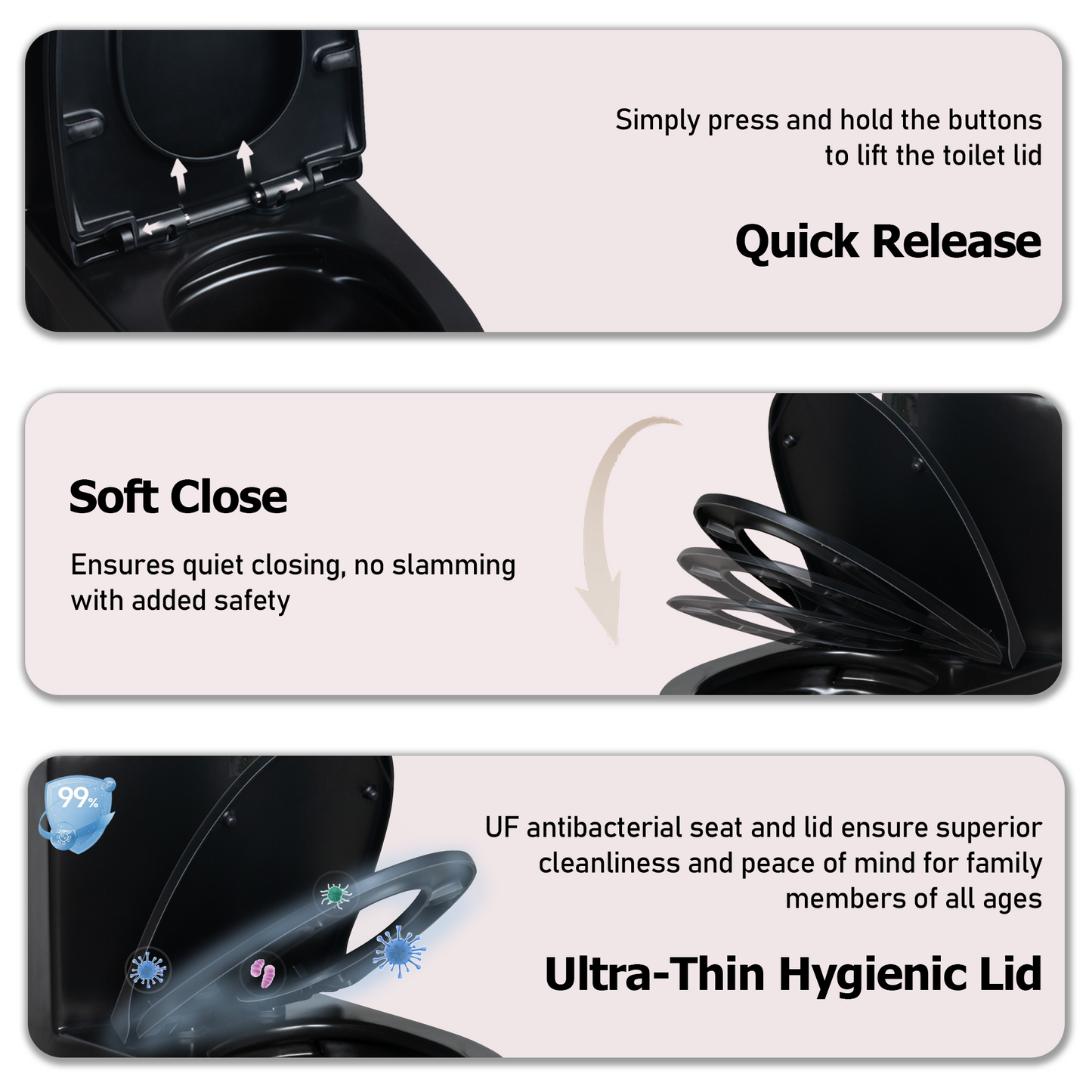 One-Piece Toilet, Dual Flush 1.1/1.6 GPF, Matte Black  T01-MB
