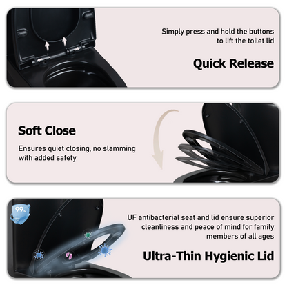 One-Piece Toilet, Dual Flush 1.1/1.6 GPF, Matte Black  T01-MB