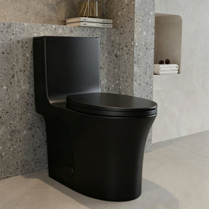One-Piece Toilet, Dual Flush 1.1/1.6 GPF, Matte Black T02-MB