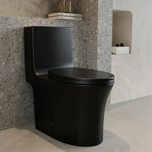 One-Piece Toilet, Dual Flush 1.1/1.6 GPF, Matte Black T02-MB