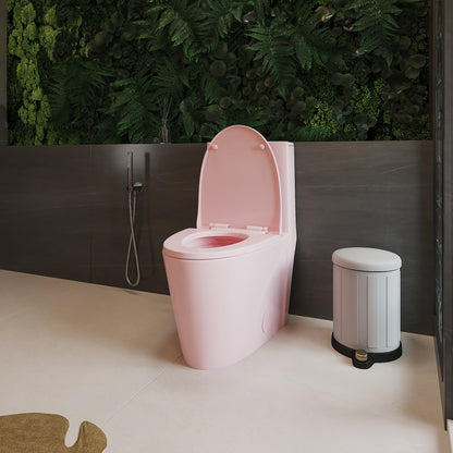 One-Piece Toilet, Dual Flush 1.1/1.6 GPF, Pink Rose T01-RS