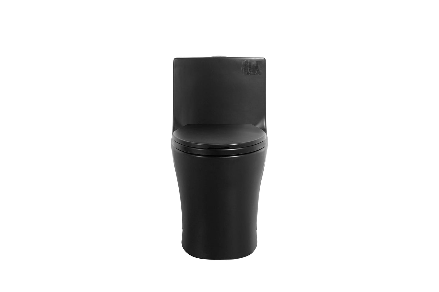 One-Piece Toilet, Dual Flush 1.1/1.6 GPF, Matte Black T02-MB