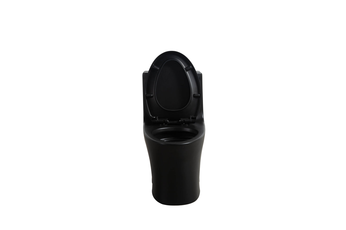 One-Piece Toilet, Dual Flush 1.1/1.6 GPF, Matte Black T02-MB