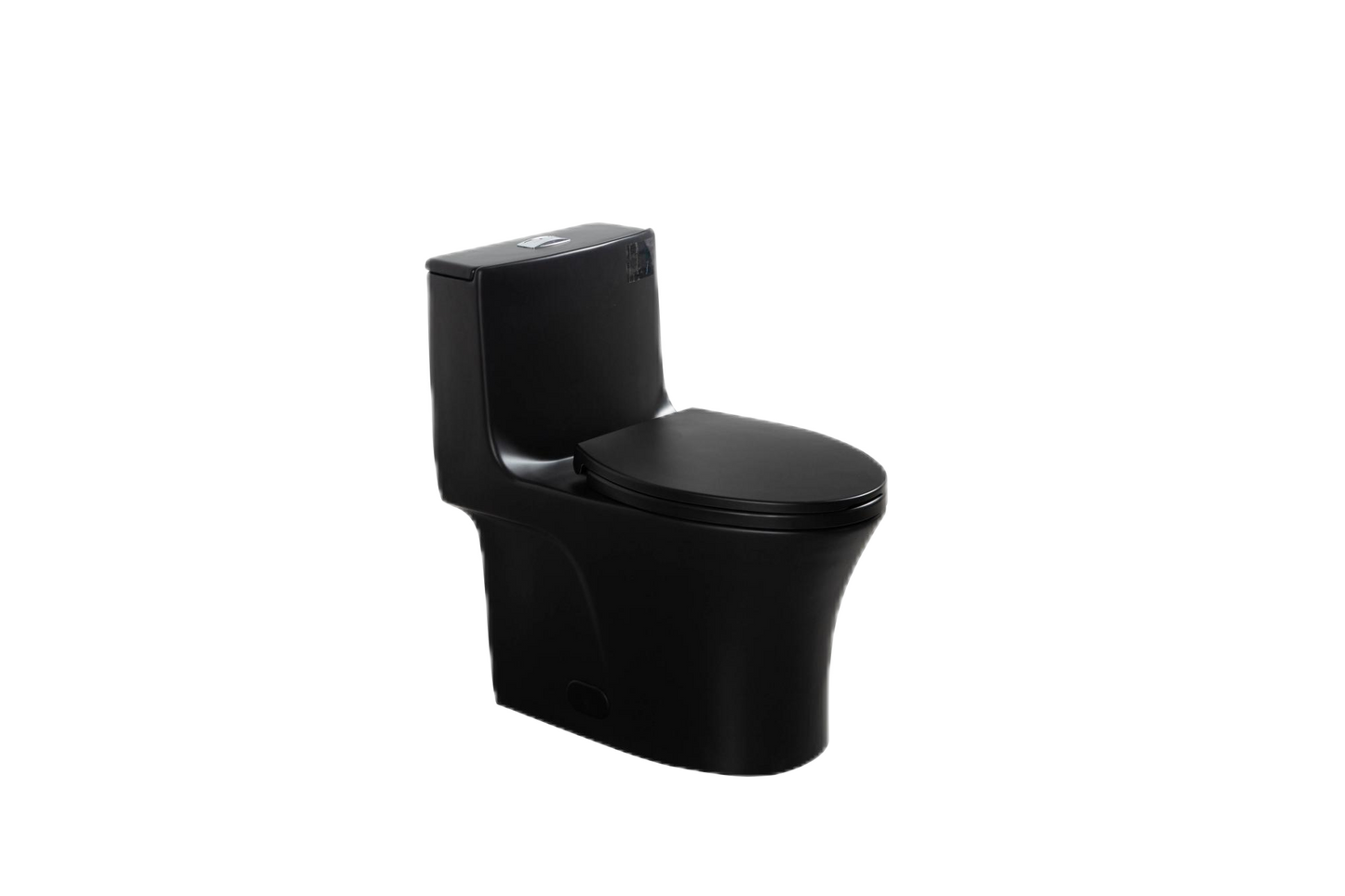 One-Piece Toilet, Dual Flush 1.1/1.6 GPF, Matte Black T02-MB