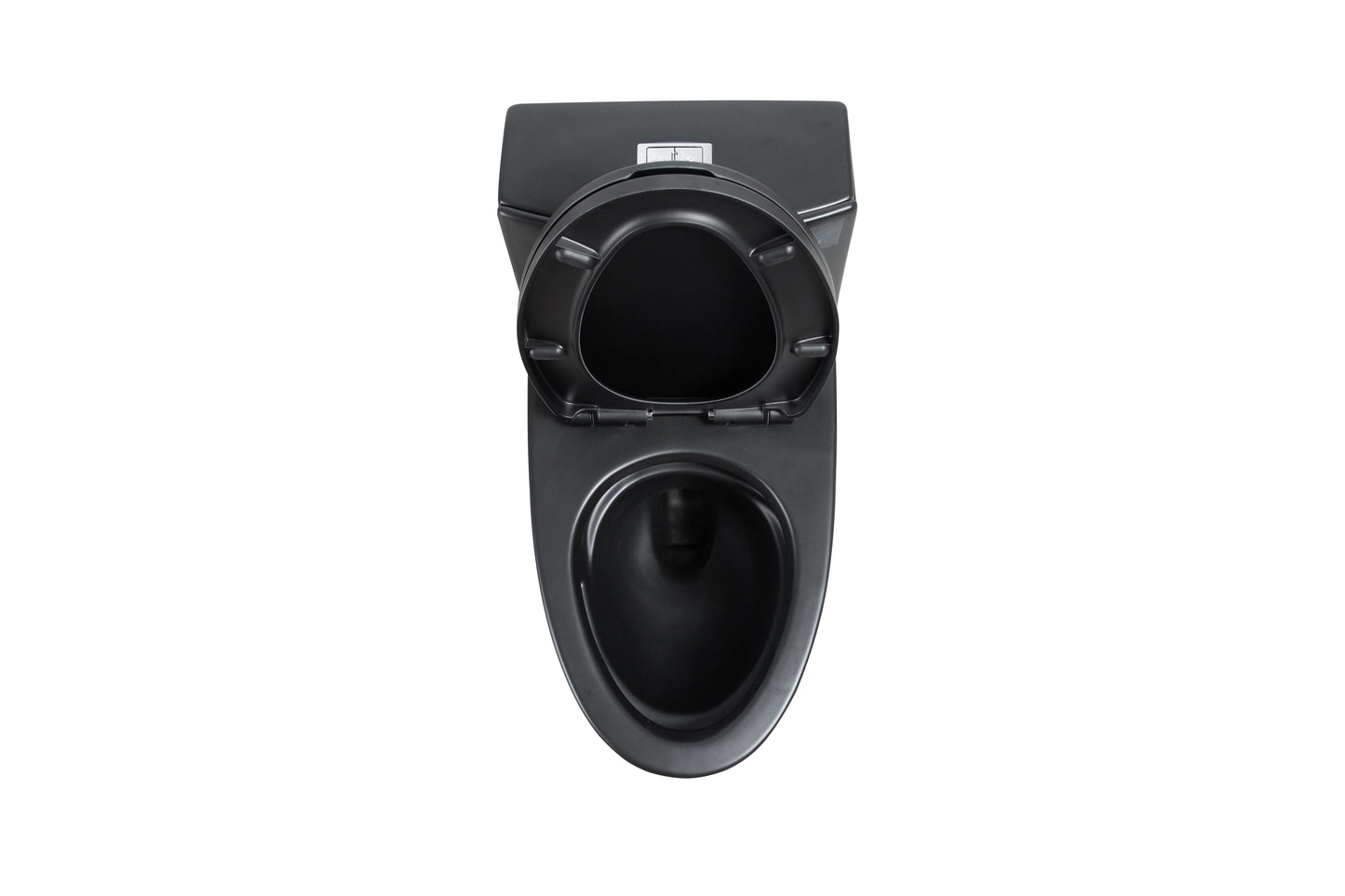 One-Piece Toilet, Dual Flush 1.1/1.6 GPF, Matte Black T02-MB