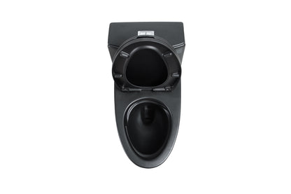 One-Piece Toilet, Dual Flush 1.1/1.6 GPF, Matte Black T02-MB