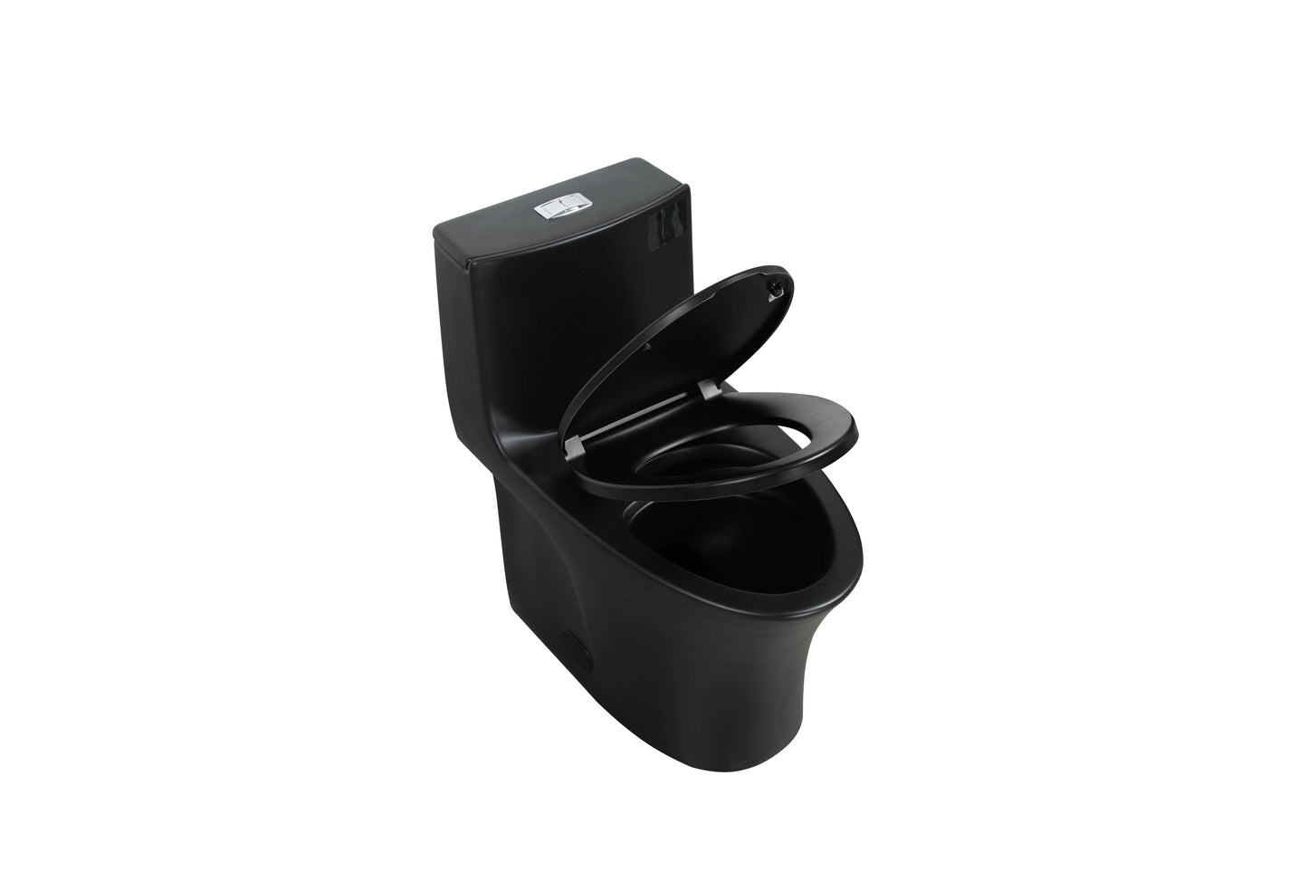 One-Piece Toilet, Dual Flush 1.1/1.6 GPF, Matte Black T02-MB