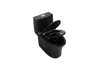One-Piece Toilet, Dual Flush 1.1/1.6 GPF, Matte Black T02-MB