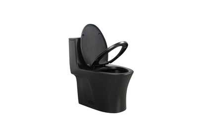 One-Piece Toilet, Dual Flush 1.1/1.6 GPF, Matte Black T02-MB