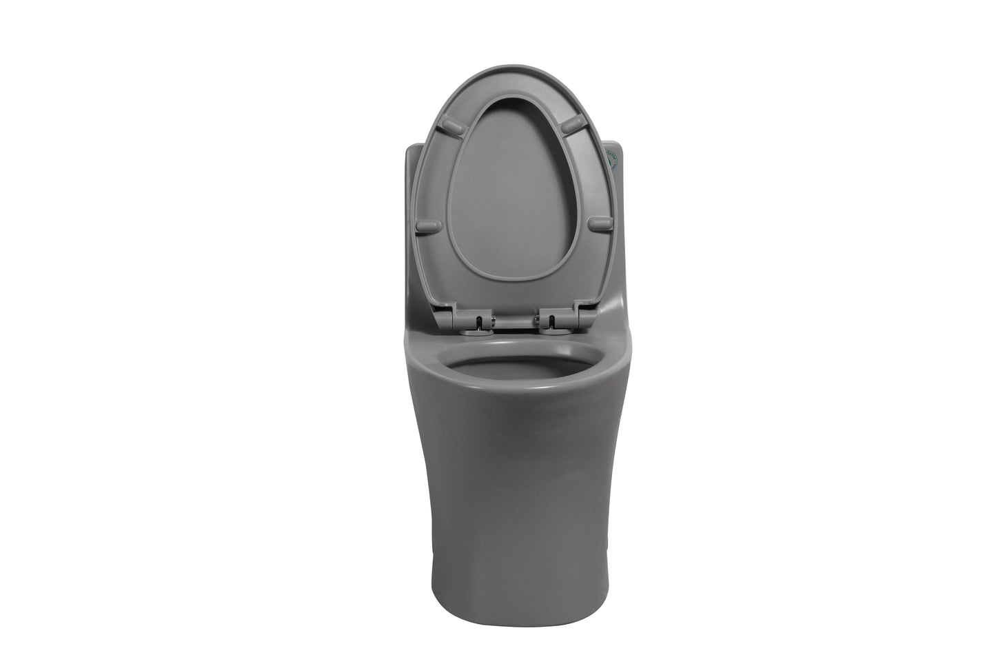 One-Piece Toilet, Dual Flush 1.1/1.6 GPF, Light Grey T02-LG
