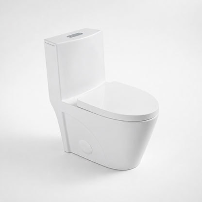 One-Piece Toilet, Dual Flush 1.1/1.6 GPF, Glossy White T01-GW