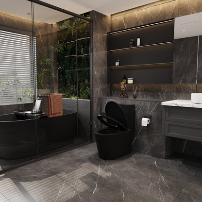 One-Piece Toilet, Dual Flush 1.1/1.6 GPF, Matte Black  T01-MB
