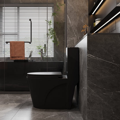 One-Piece Toilet, Dual Flush 1.1/1.6 GPF, Matte Black  T01-MB