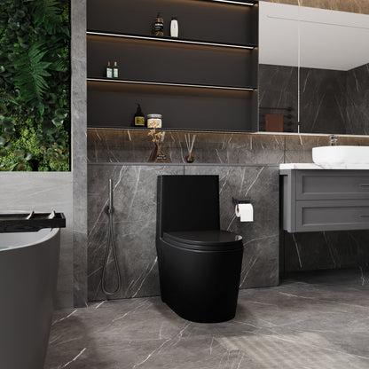 One-Piece Toilet, Dual Flush 1.1/1.6 GPF, Matte Black  T01-MB